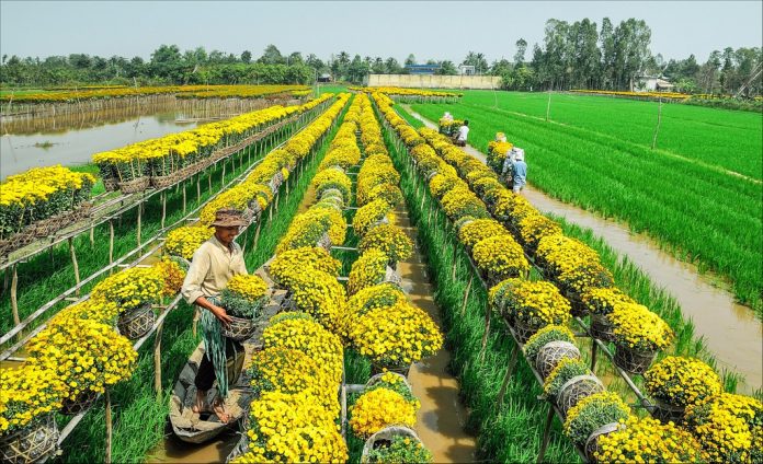 địa điểm du lịch nổi tiếng tại Đồng Tháp