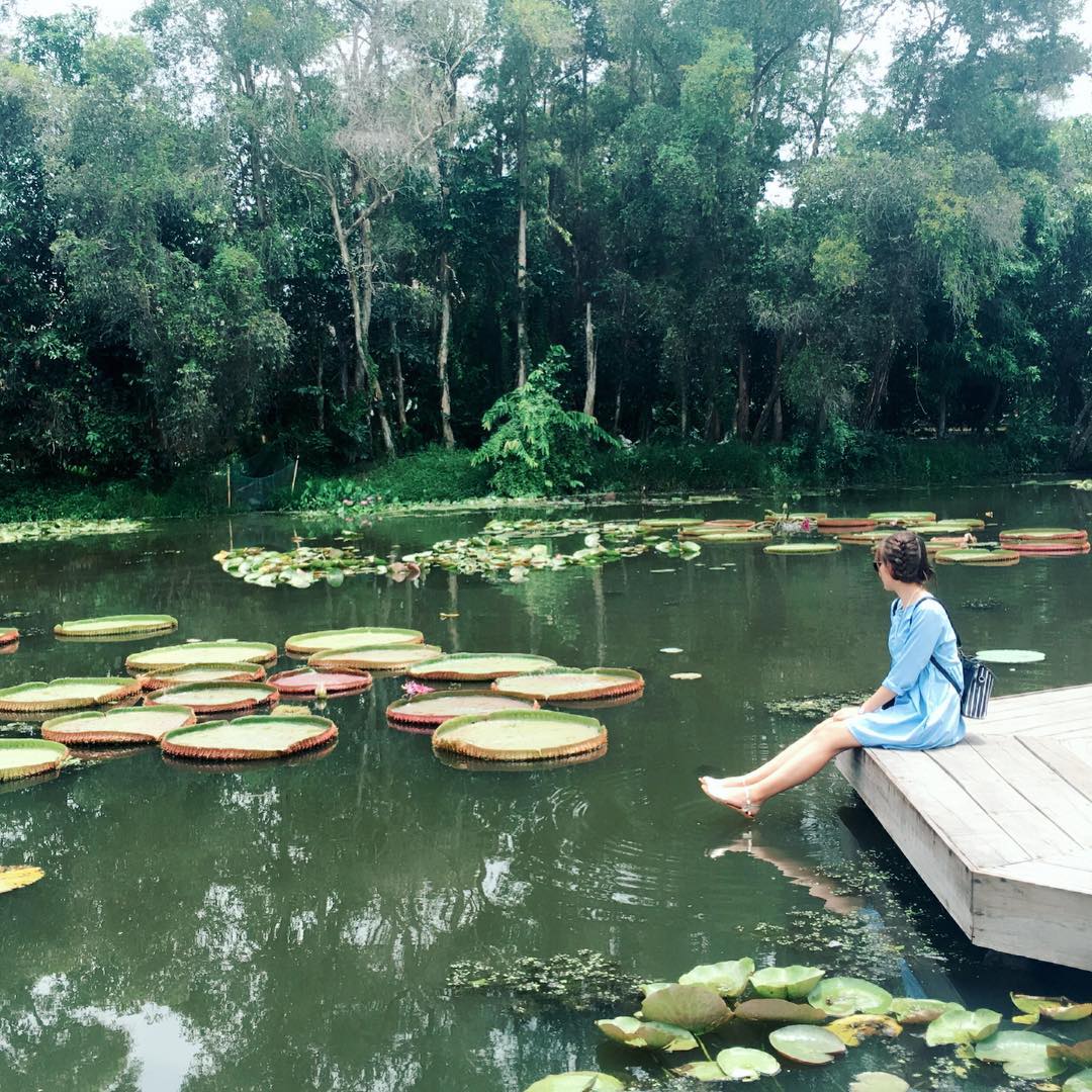 địa điểm du lịch nổi tiếng tại Đồng Tháp