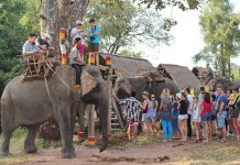 Say sưa với vẻ đẹp hùng vỹ của Buôn Đôn – điểm đến huyền thoại tại Tây Nguyên kinh nghiệm du lịch Buôn Đôn