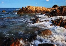 Kinh nghiệm du lịch Hòn Rơm – Phan Thiết từ A đến Z Kinh nghiệm du lịch Hòn Rơm - Phan Thiết từ A đến Z