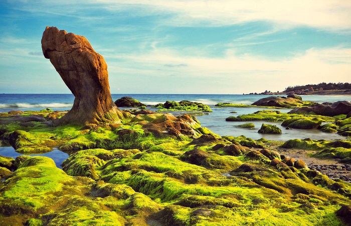 Bãi biển Cổ Thạch - địa điểm chụp ảnh đẹp ở Phan Thiết