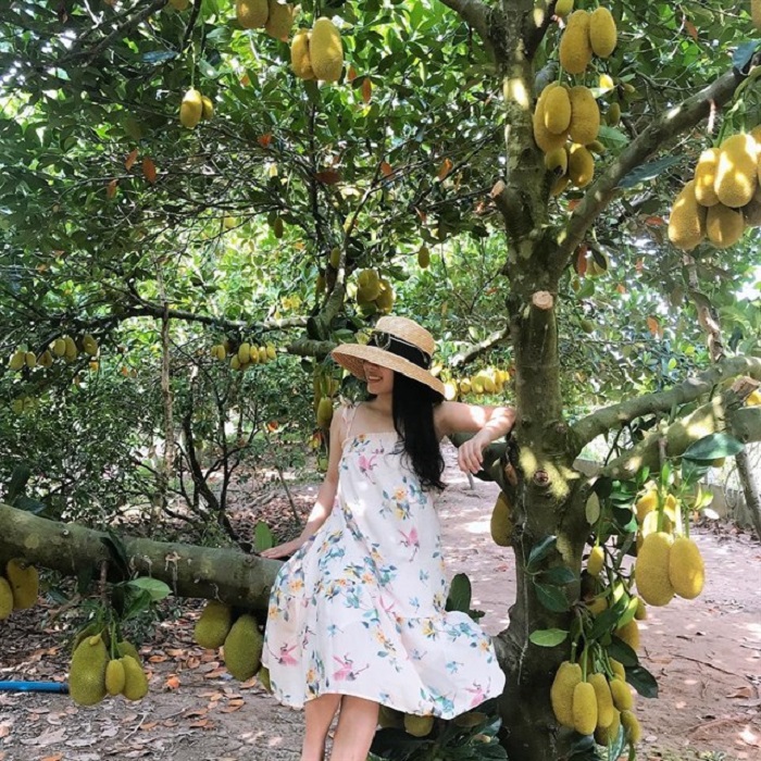 check in bên cây mít sai trĩu quả tại khu du lịch vườn trái cây Lái Thiêu
