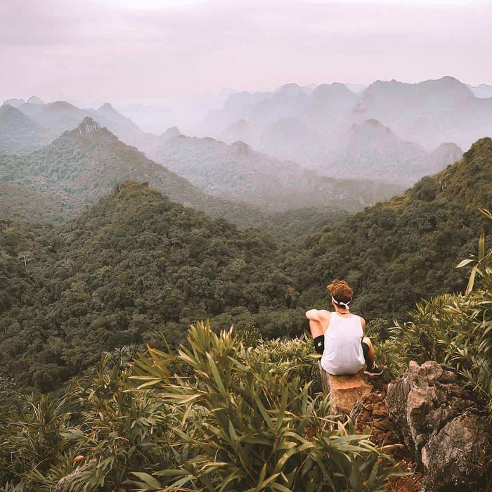 khung cảnh thiên nhiên hùng vỹ, hoang sơ tại vườn quốc gia Cát Bà Hải Phòng