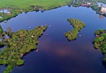 Đắm chìm trong khung cảnh bình yên đầy mê hoặc tại đảo cò Chi Lăng Nam – Hải Dương du lịch đảo cò Chi Lăng Nam Hải Dương