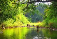 Bật mí kinh nghiệm khám phá vườn quốc gia Bù Gia Mập Bình Phước du lịch vườn quốc gia Bù Gia Mập Bình Phước