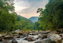 Khám phá vườn quốc gia Chư Yang Sin Đắk Lắk với những trải nghiệm cực kỳ thú vị vườn quốc gia Chư Yang Sin Đắk Lắk