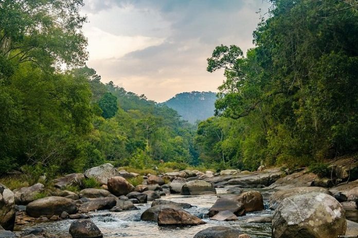 vườn quốc gia Chư Yang Sin Đắk Lắk