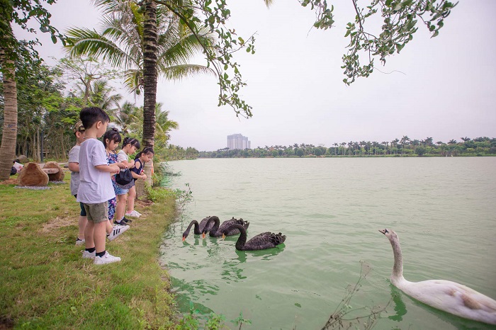 du lịch khu đô thị Ecopark - Công viên Hồ Thiên Nga