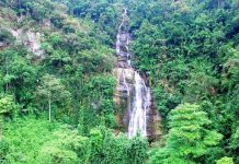 Du lịch vườn quốc gia Pù Mát – khám phá khu rừng nguyên sinh độc đáo bậc nhất Việt Nam du lịch vườn quốc gia Pù Mát