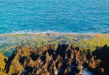 Khám phá Hòn Đỏ – ‘Nàng tiên cá ngủ say’ ở xứ nắng Ninh Thuận San hô hóa thạch ở Hòn Đỏ Ninh Thuận