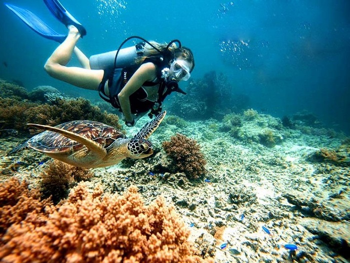 kinh nghiệm lặn ngắm san hô ở Phú Quốc bằng bình dưỡng khí