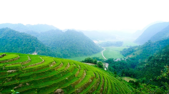 Lũng Vân là nơi lý tưởng để tận hưởng không gian thiên nhiên tĩnh lặng