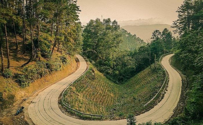 The road at Yen Minh pine forest