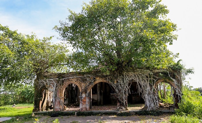 ngôi đình Tân Đông như báu vật