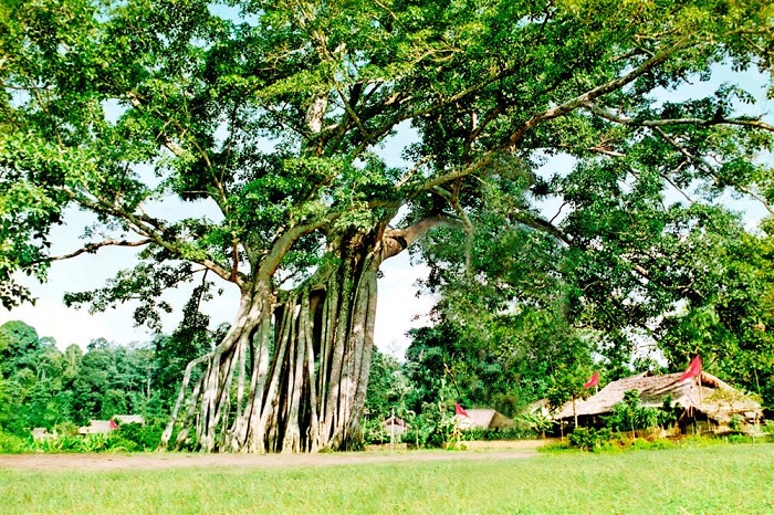 Chiến khu Tân Trào là một trong những địa điểm nổi tiếng ở Tuyên Quang