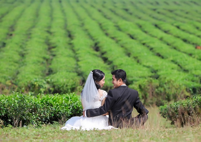Chụp ảnh cưới tại đồi chè Đông Giang