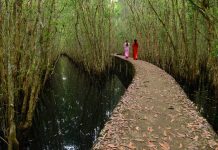 Khám phá làng nổi Tân Lập đẹp quên lối về tại Long An kinh nghiệm du lịch làng nổi Tân Lập