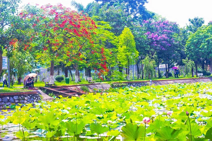 Trường Học Viện Nông Nghiệp Việt Nam  là một trong những trường đại học đẹp nhất Việt Nam