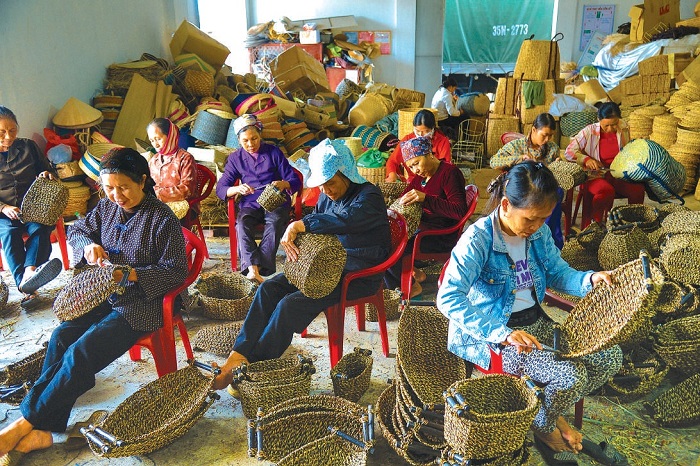 Làng cói Kim Sơn Ninh Bình là một trong những làng nghề nổi tiếng ở miền Bắc