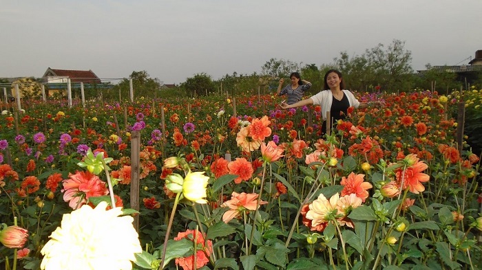 Làng vườn Bách Thuận - địa điểm du lịch nổi tiếng ở Thái Bình