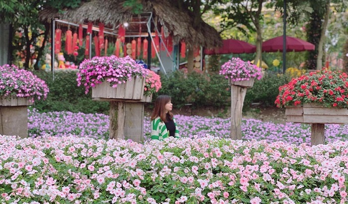 Khám phá công viên hoa hồng Rose park ở Long Biên