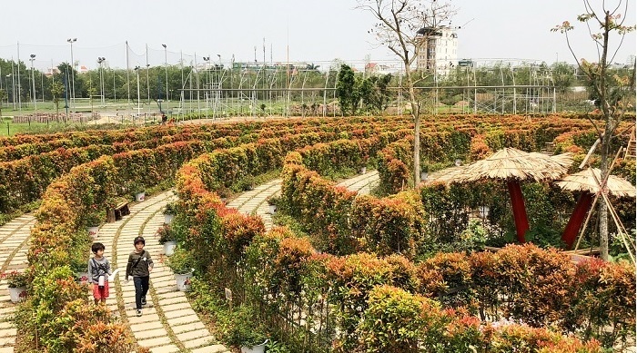 Khám phá công viên hoa hồng Rose park ở Long Biên