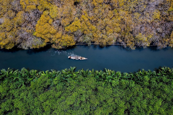Khám phá rừng ngập mặn Rú Chá ở Huế
