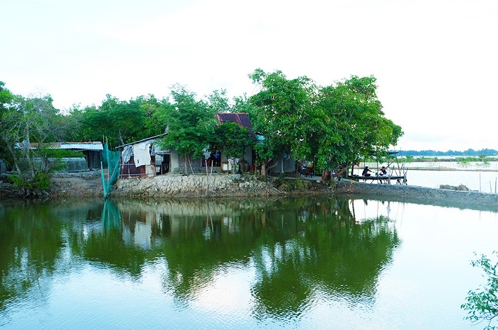 Khám phá rừng ngập mặn Rú Chá ở HuếKhám phá rừng ngập mặn Rú Chá ở Huế