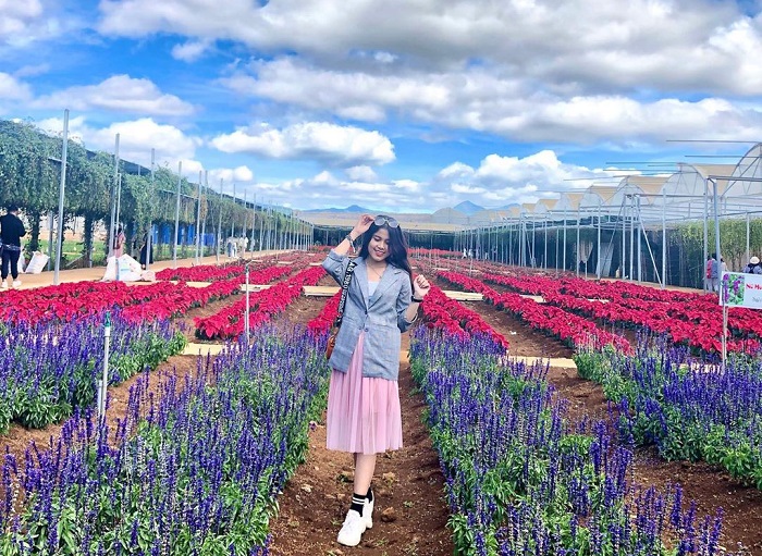 order proscar europe