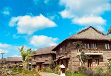 Trải nghiệm nghỉ dưỡng đậm chất miền Tây tại những resort đẹp nhất Cần Thơ Cần Thơ Ecolodge - resort đẹp ở Cần Thơ