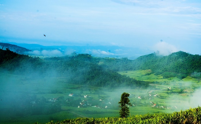 du lịch cao nguyên Vân Hòa Phú Yên