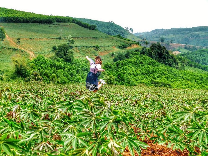 du lịch cao nguyên Vân Hòa Phú Yên