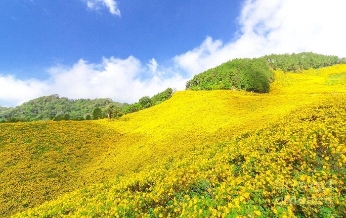 du lịch núi lửa Chư Đăng Ya Gia Lai