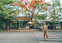 Du lịch Tam Kỳ – Quảng Nam với những trải nghiệm vô cùng thú vị Du lịch Tam Kỳ Quảng Nam