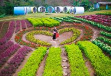 Lưu ngay danh sách homestay đẹp ở Mộc Châu này cho hành trình sắp tới Homestay Happy Land - homestay đẹp ở Mộc Châu