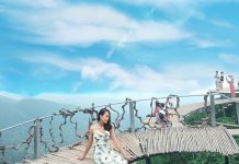 Khám phá Studio Cầu Mây – thiên đường check in khiến giới trẻ ‘phát cuồng’ tại Tam Đảo khám phá studio Cầu Mây Tam Đảo