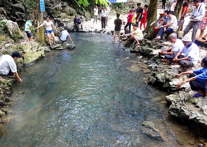 Suối Cá Thần - địa điểm du lịch nổi tiếng tại Thanh Hóa