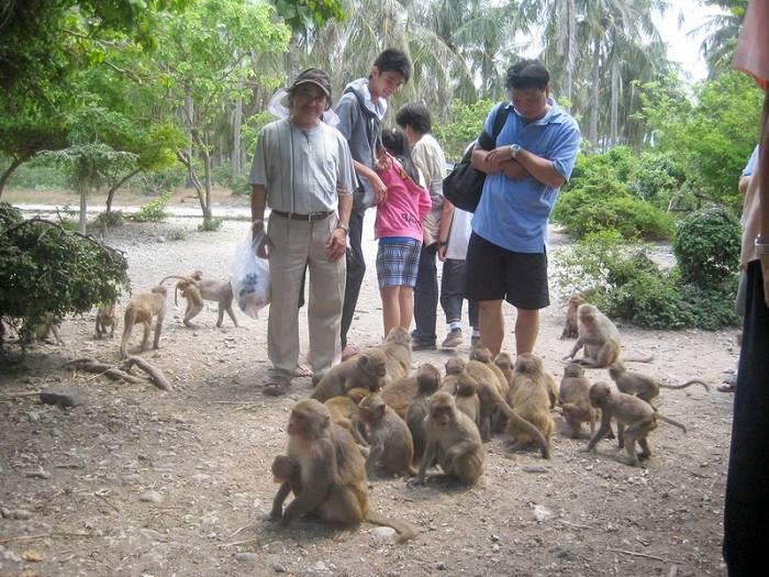 Đảo Khỉ - địa điểm du lịch nổi tiếng ở Cẩm Phả