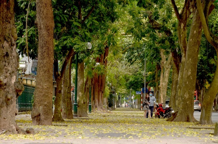 Đường Phan Đình Phùng – Hà Nội - một trong những con đường đẹp nhất Việt Nam