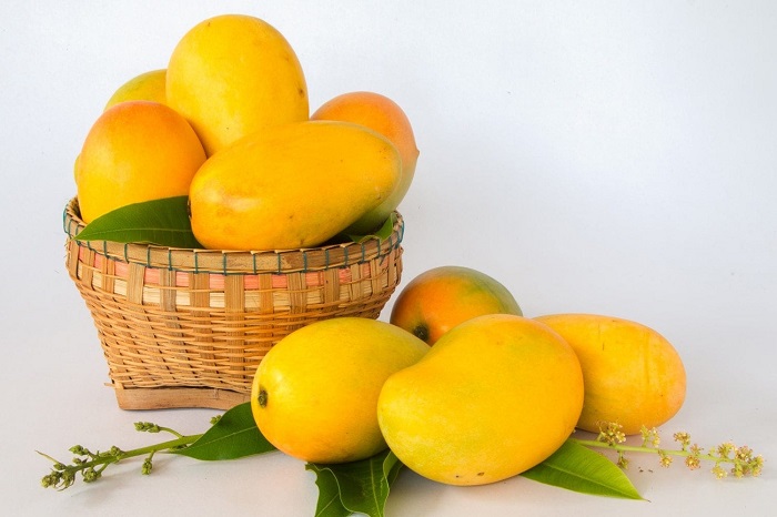 Xoài cát Hòa Lộc - đặc sản Tiền Giang mua làm quà