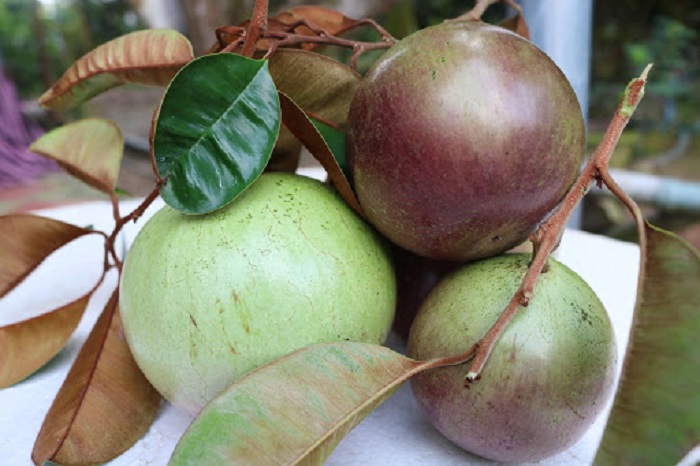 Vũ sữa Lò Rèn - đặc sản Tiền Giang mua làm quà