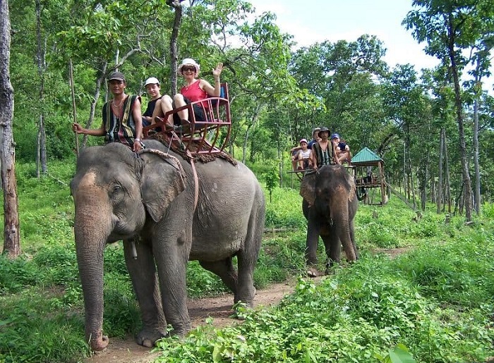 Vườn quốc gia Yok Đôn - địa điểm du lịch nổi tiếng ở Đắk Nông