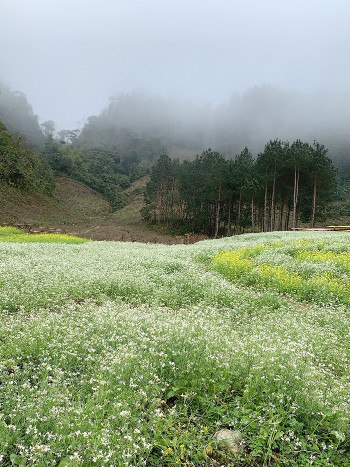 du lịch miền bắc