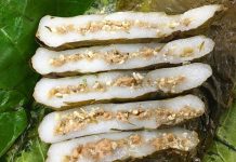 Đặc sản Tuyên Quang có gì mà khiến du khách mê như ‘điếu đổ’ Bánh nếp trứng kiến - đặc sản Tuyên Quang nổi tiếng