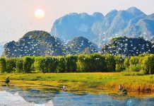 Đắm đuối trước vẻ đẹp hoang sơ và thơ mộng tại đầm Vân Long – Ninh Bình Du lịch đầm Vân Long Ninh Bình