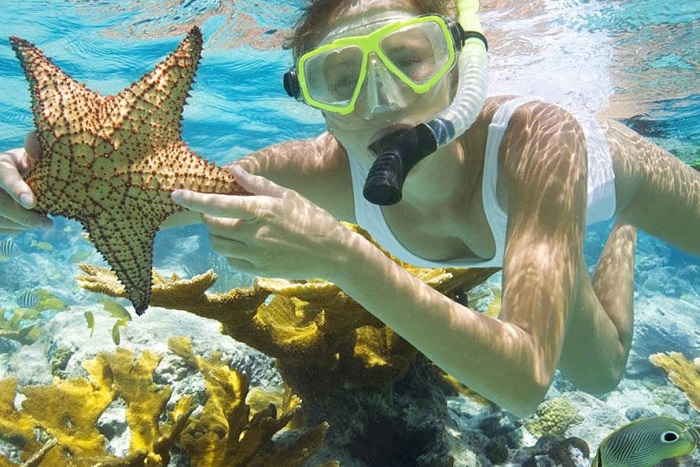 Lặn biển ngắm san hô khi du lịch Hòn Dăm Phú Quốc