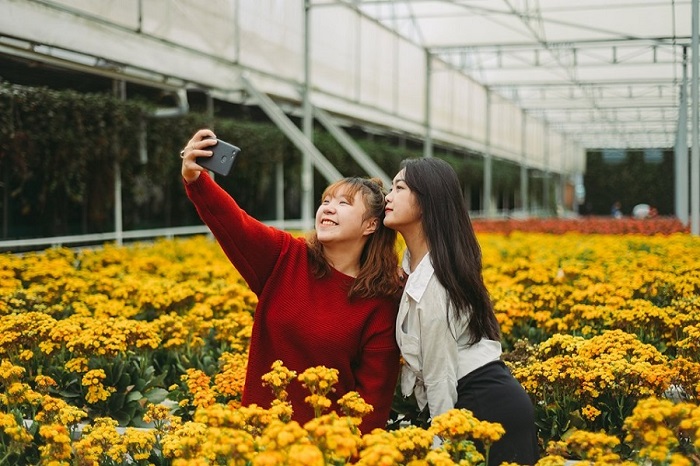 2 cô gái check in vườn cúc vàng tại làng hoa Vạn Thành Đà Lạt