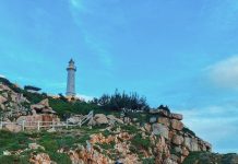 Chiêm ngưỡng khung cảnh thiên nhiên thơ mộng tại hải đăng Mũi Điện