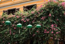 Những điều thú vị tại Hội An cực hấp dẫn mà du khách không thể bỏ qua