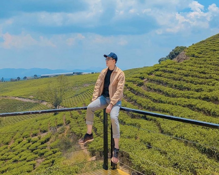 Đồi chè Cầu Đất - một trong những đồi chè đẹp nhất Việt Nam 